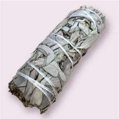 White Sage Smudge Stick (4 in.) for love magic