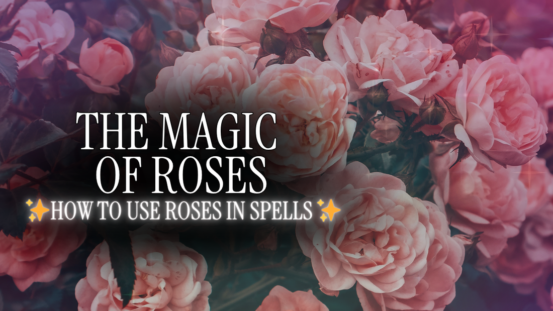 The Magical Properties of Roses