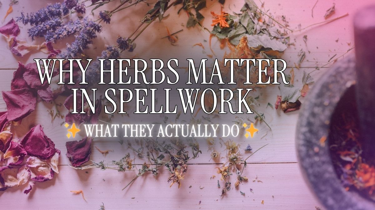 How To Use Herbs in Spells
