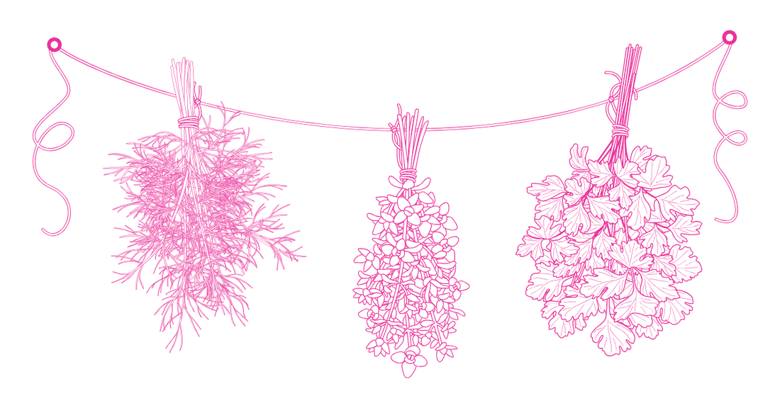 How To Use Herbs in Spells