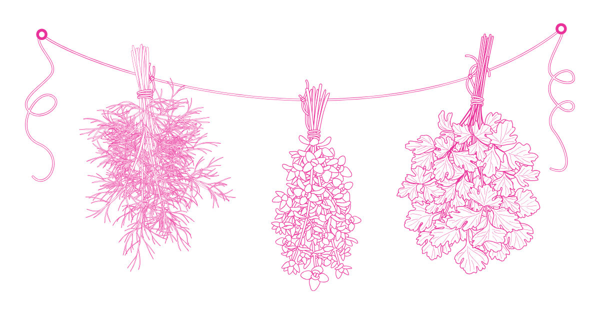 How To Use Herbs in Spells