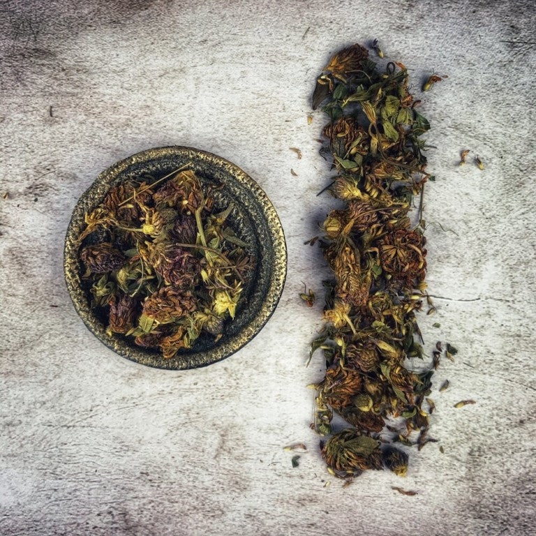 Red Clover - Organic for love magic