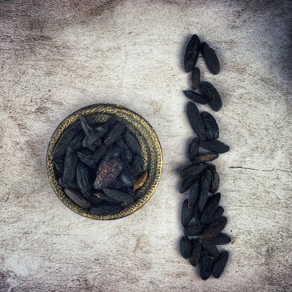 Tonka Beans - Wildharvested for love magic