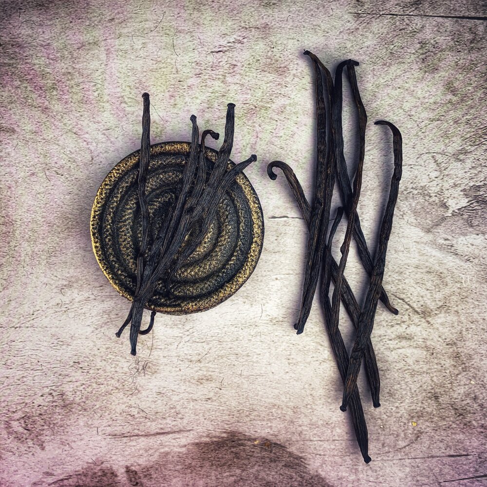 Organic vanilla bean for sweet love spells and comfort magic