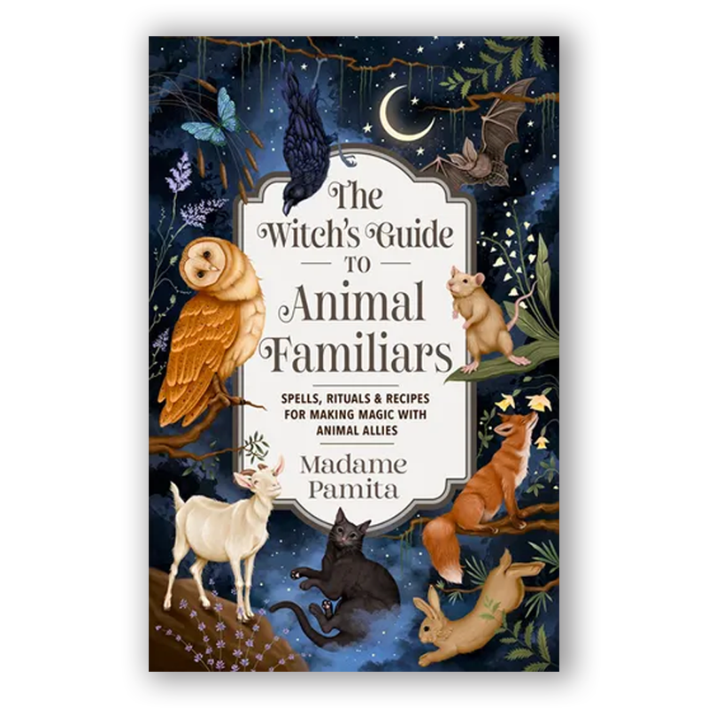 The Witch's Guide to Animal Familiars