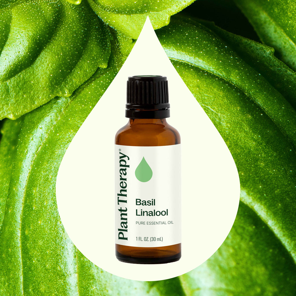 Lonalool Basil Linalool Essential Oil – The Love Witch