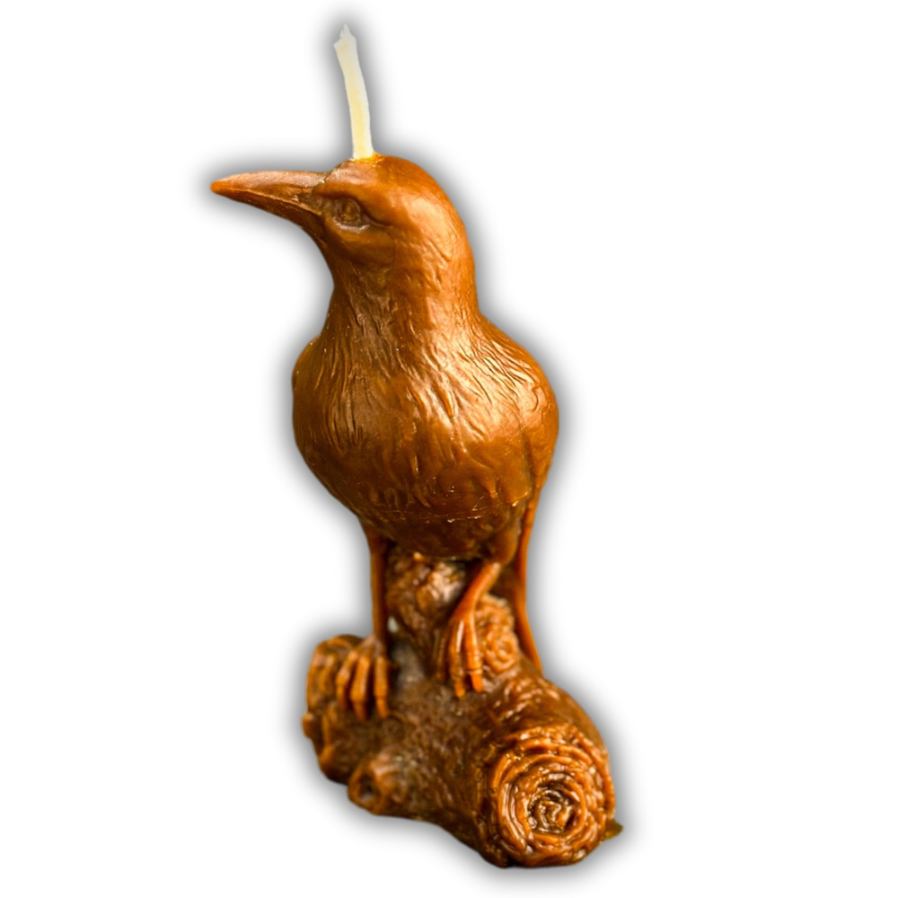 Beeswax Raven Magic Spell Candle