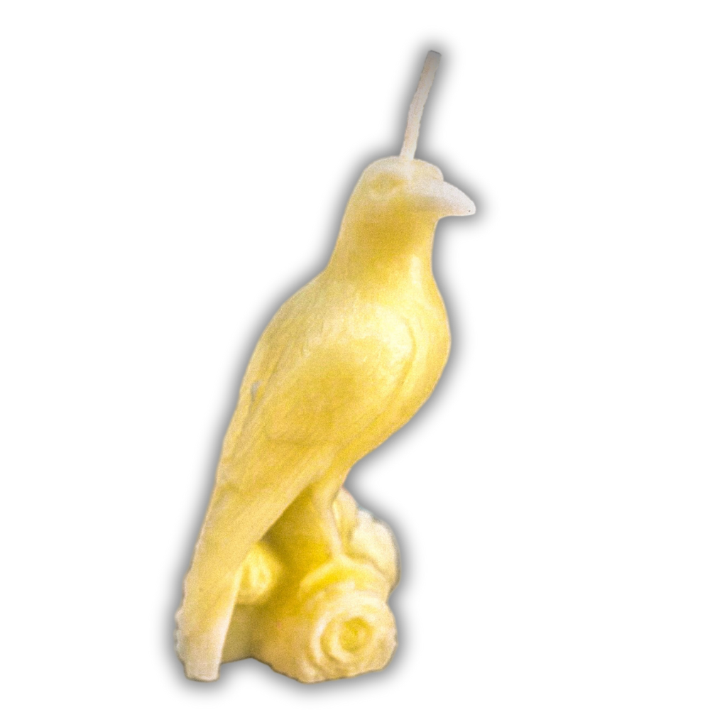 Beeswax Raven Magic Spell Candle
