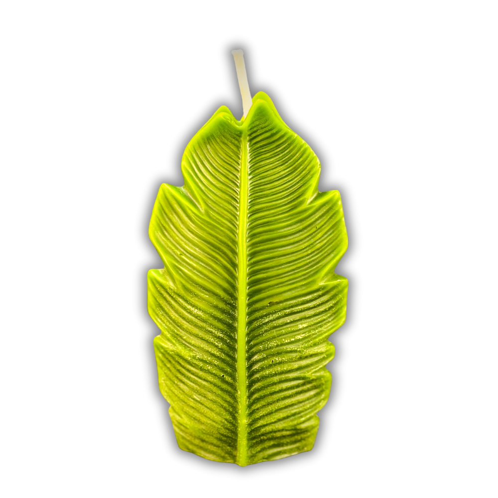 Beeswax Plant Spirit Spell Candle