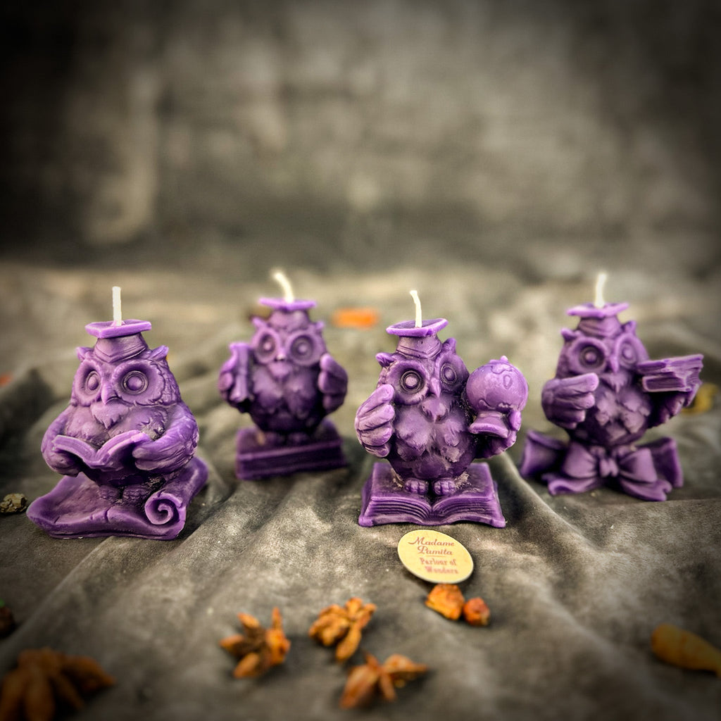 Beeswax School of Owls Spell Candle Set