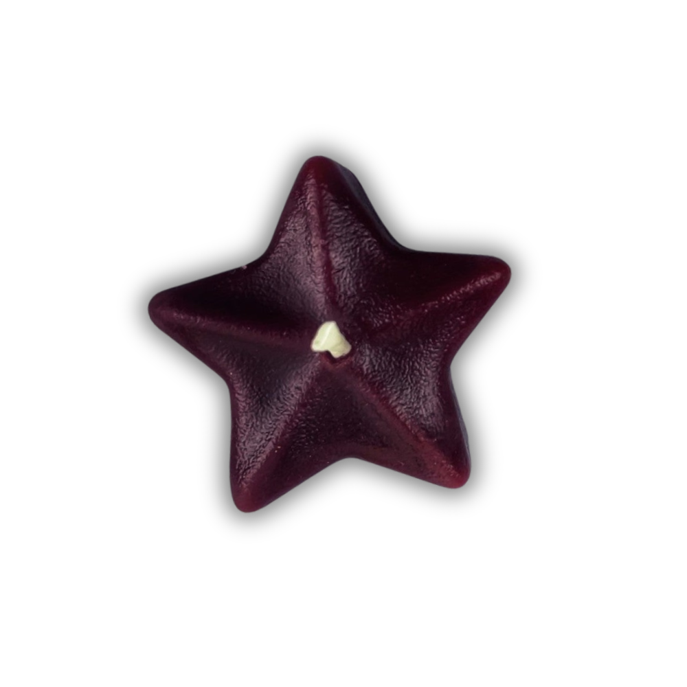 Beeswax Sister Star Spell Candle
