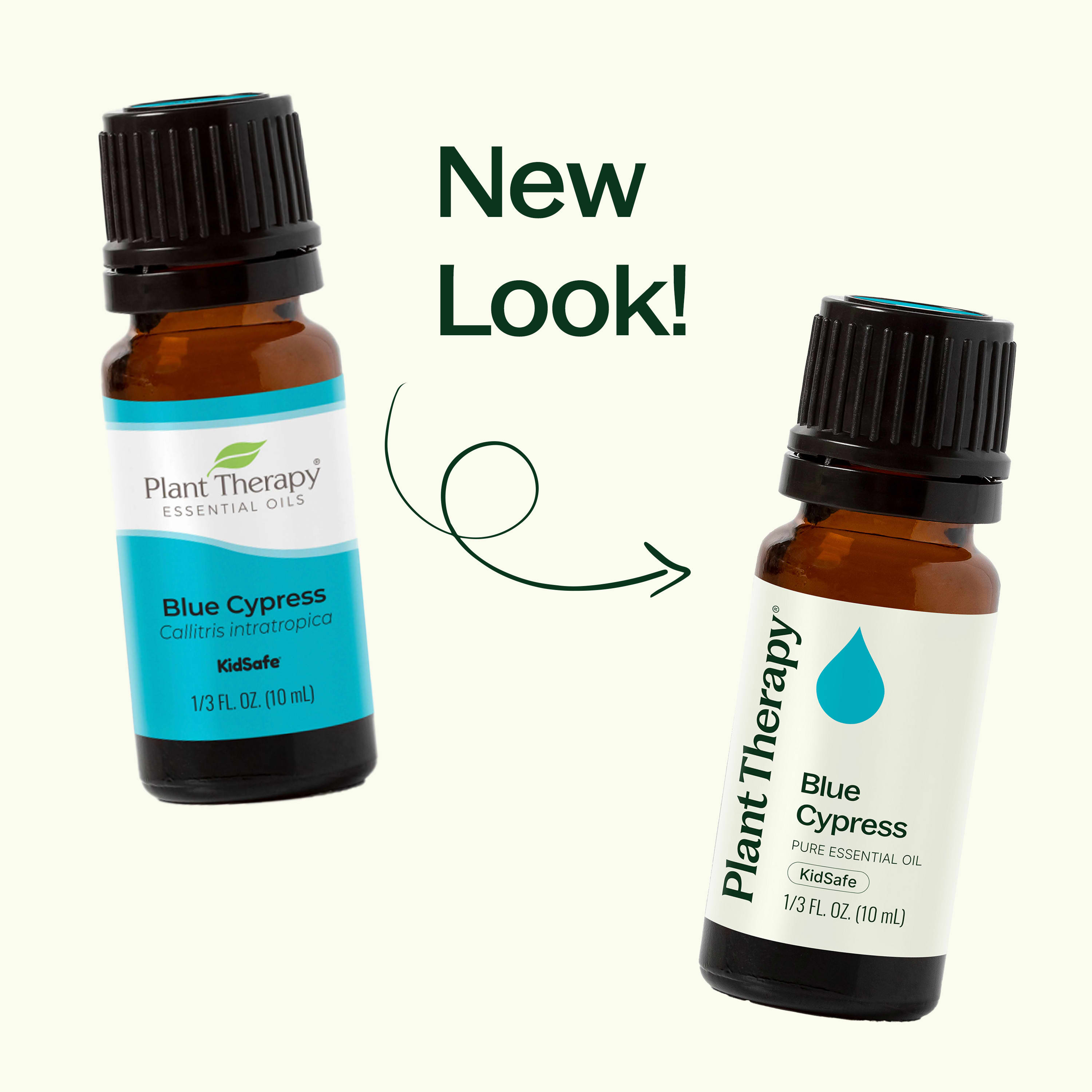 Blue Cypress Essential Oil