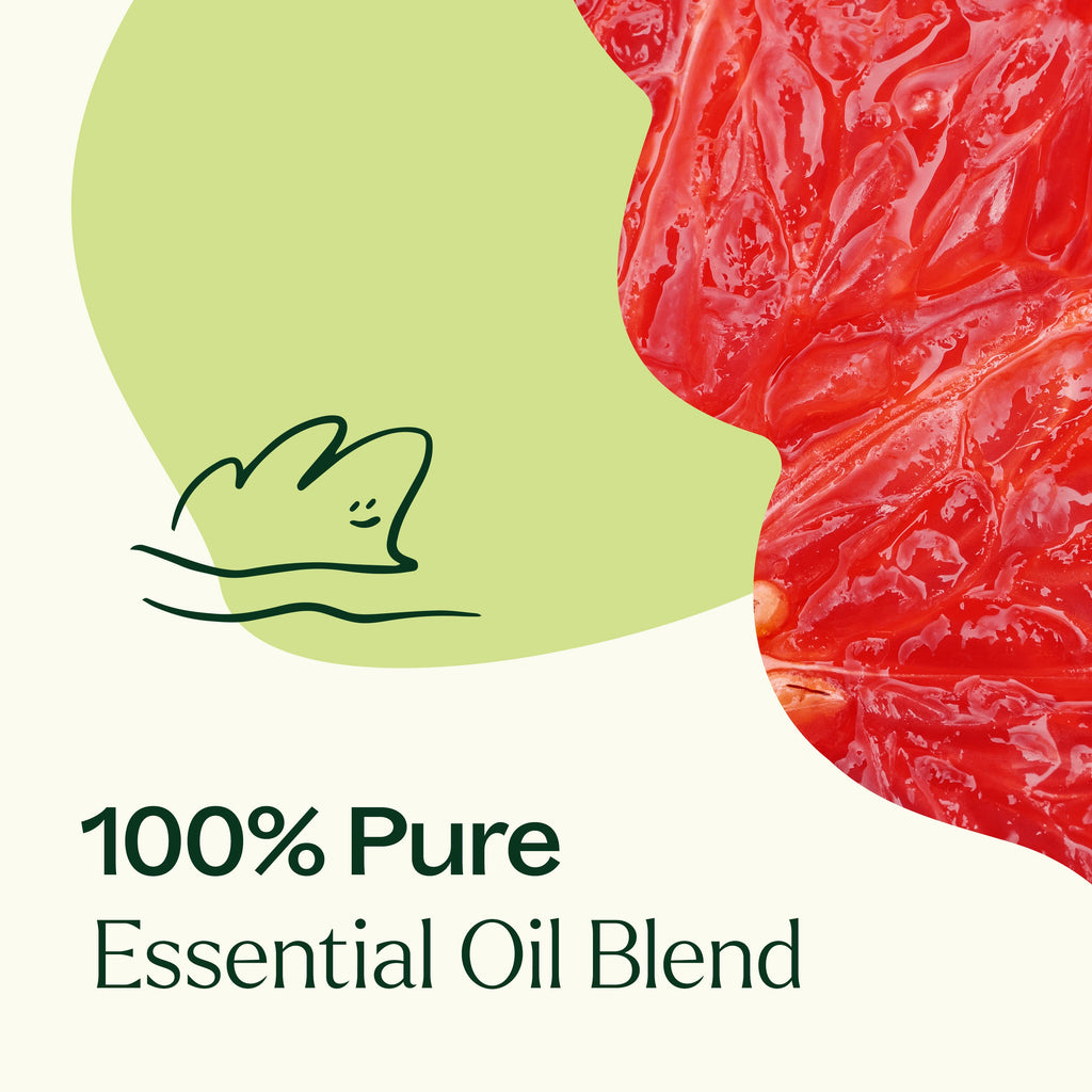 Brain Aid Essential Oil Blend