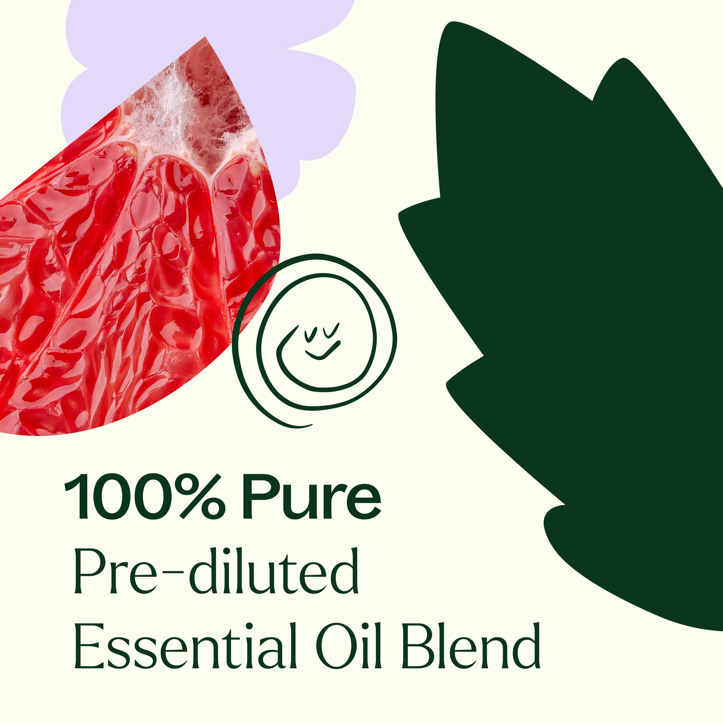 Clear Intuition (Brow Chakra) Pre-Diluted Essential Oil Blend Roll-On 10 mL
