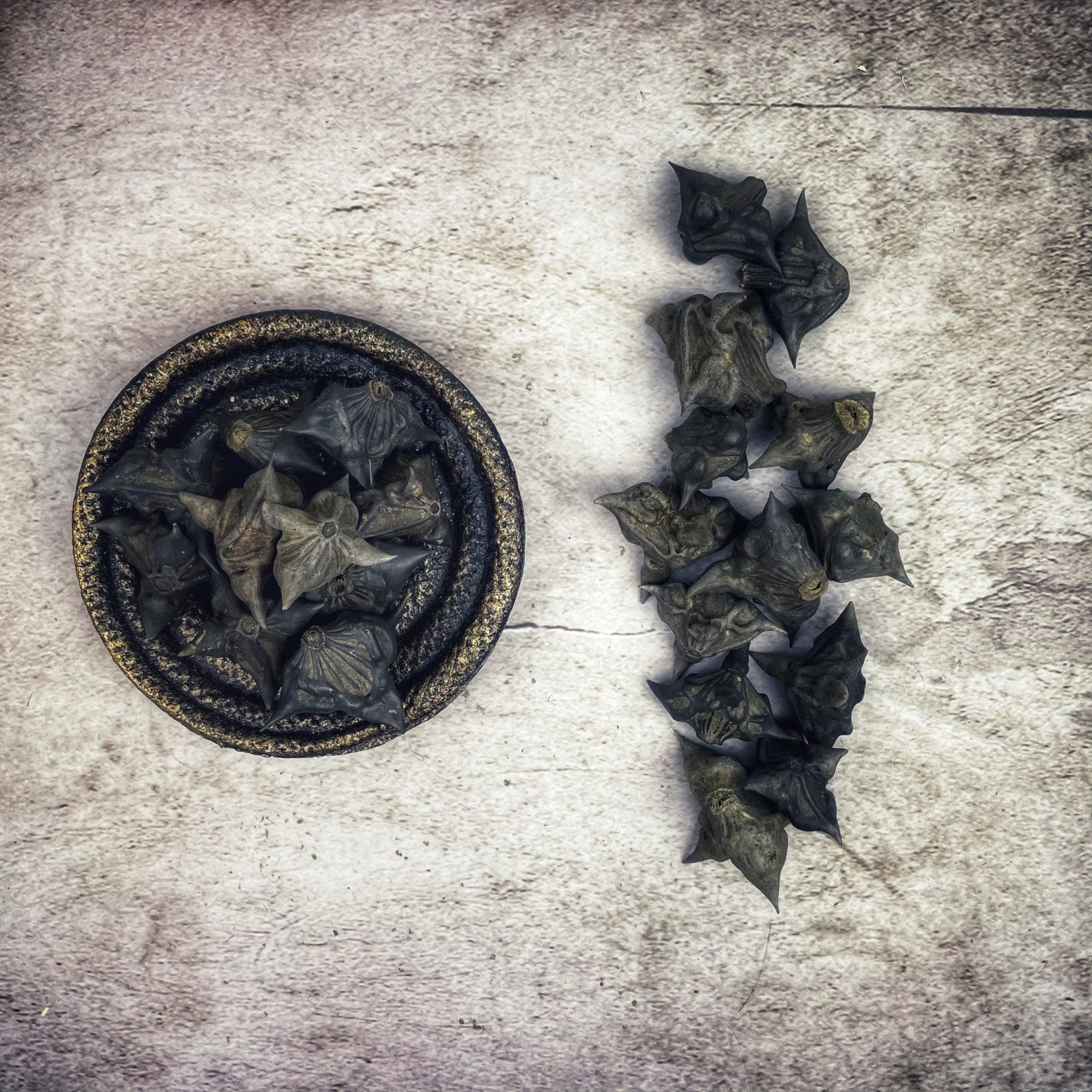 Bat Nut - Whole