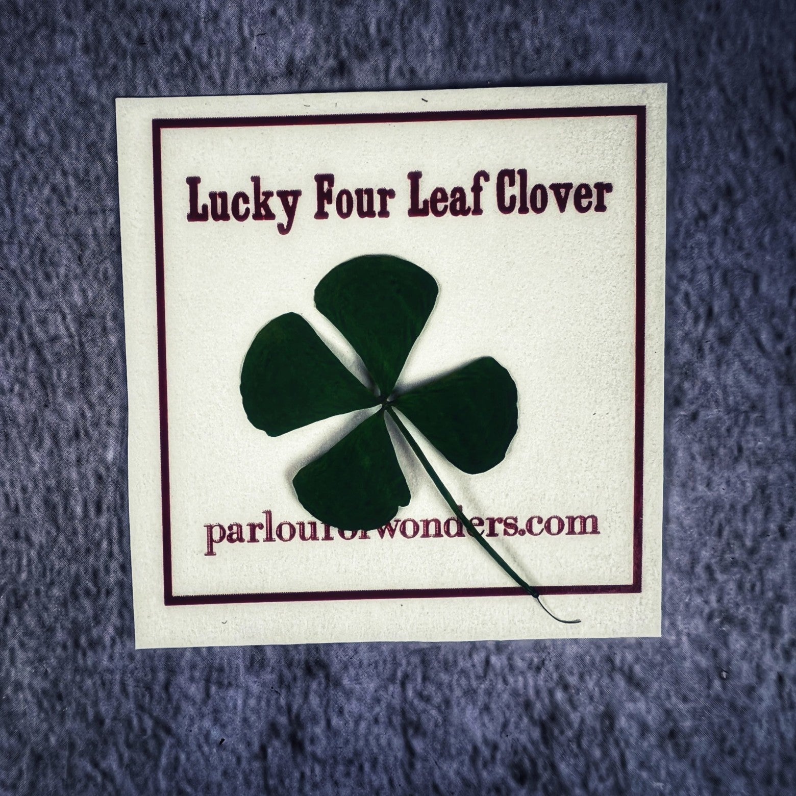 Four Leaf Clover