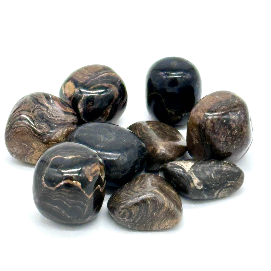 Stromatolite Tumbled Pocket Stone: Divine Wisdom of the Earth