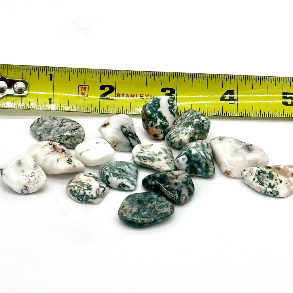 Tree Agate Tumbled Stone