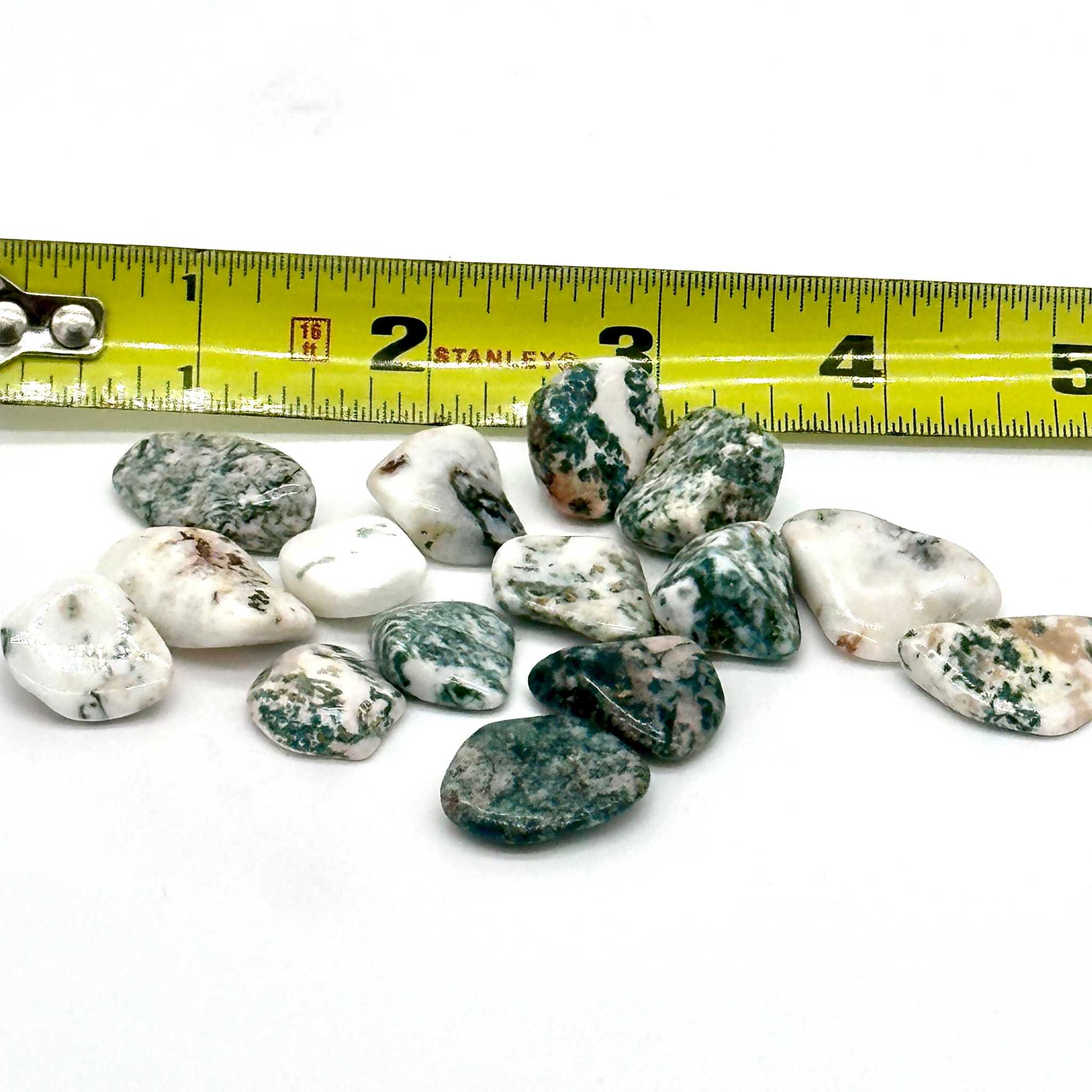 Tree Agate Tumbled Stone