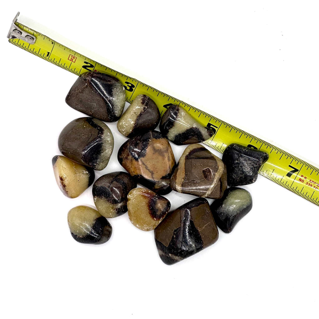 Septarian Tumbled Pocket Stone: The Dragon Stone