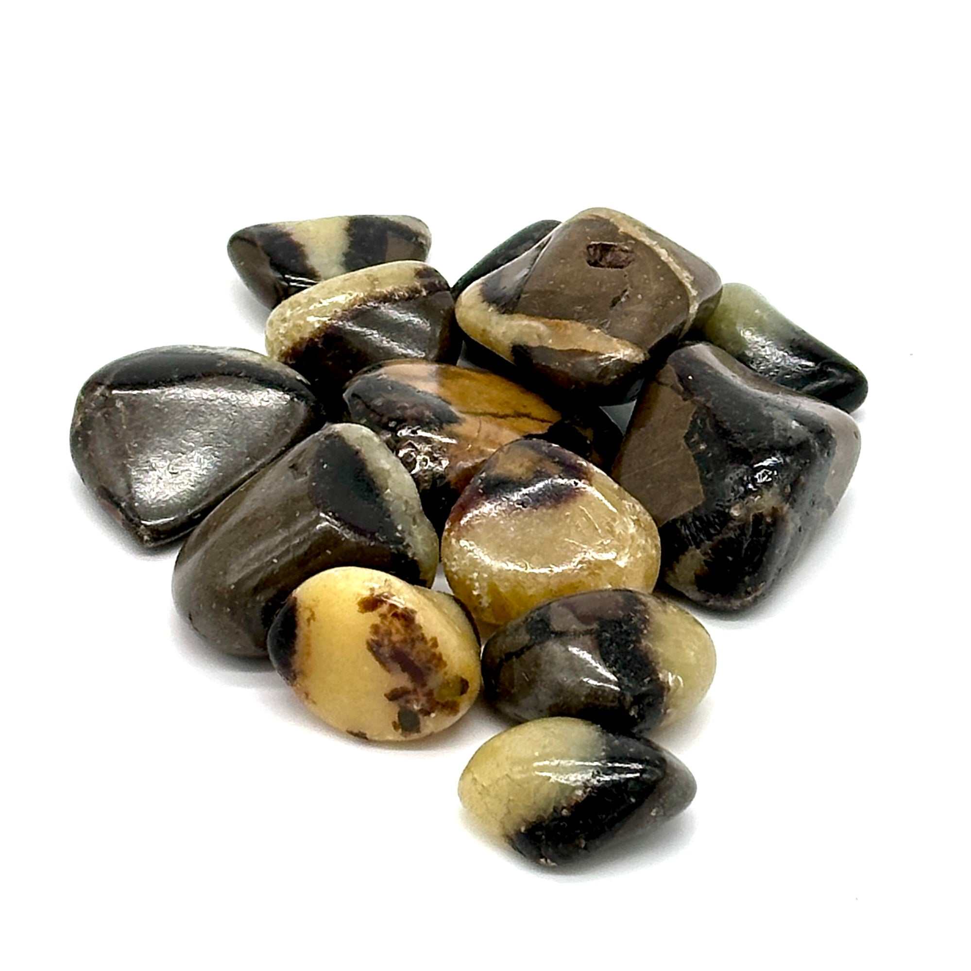 Septarian Tumbled Pocket Stone: The Dragon Stone