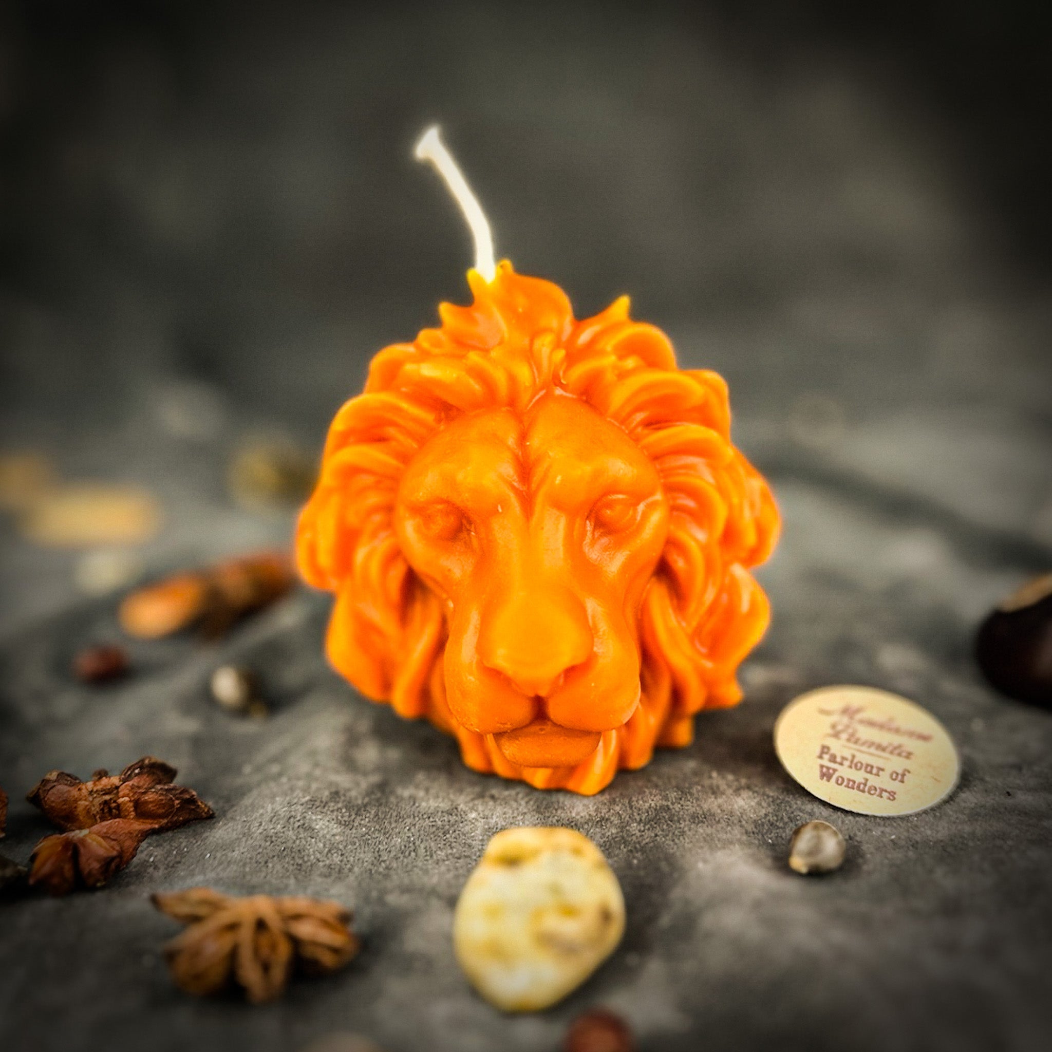 Limited Edition Lion's Gate Portal Candle Spell Kit