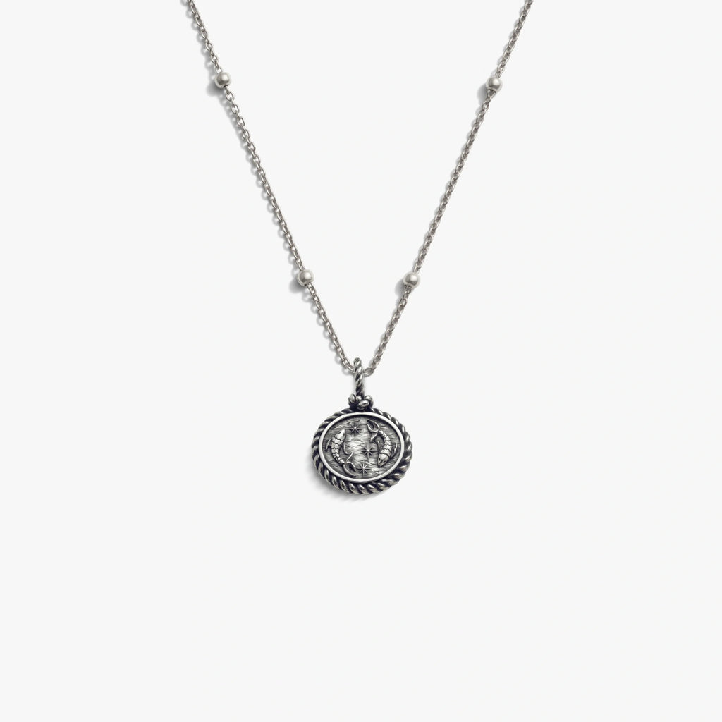 Mini Gemstone Zodiac Necklace