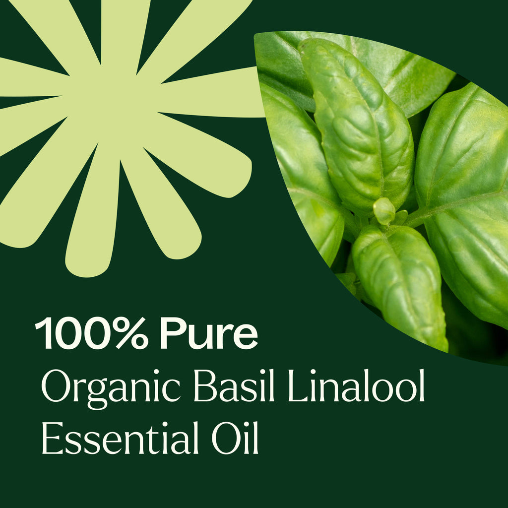 Lonalool Organic Basil Linalool Essential Oil – The Love Witch