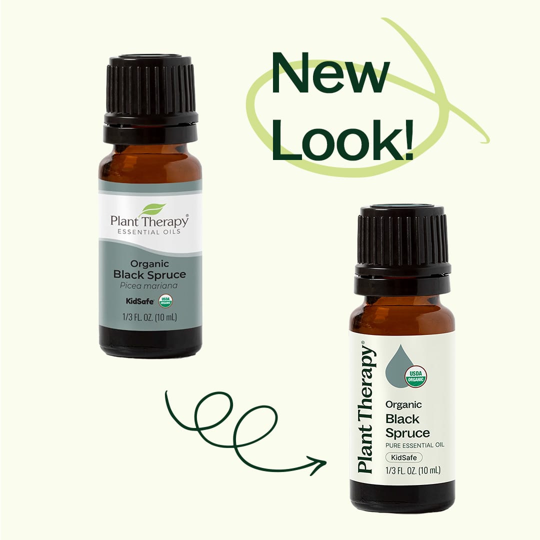 Organic Black Spruce Essential Oil