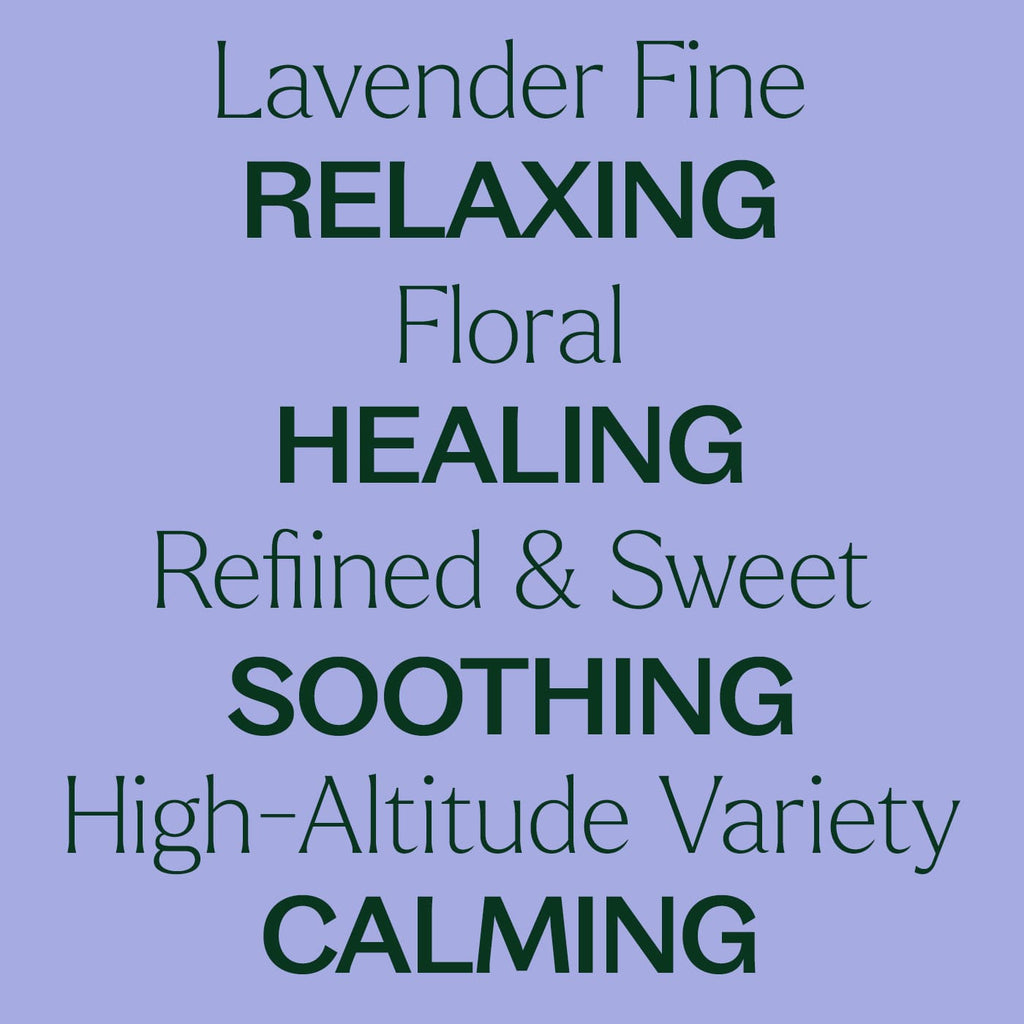 Organic Lavender Fine Essential Oil