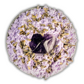 Peace and Tranquility Sachet Powder