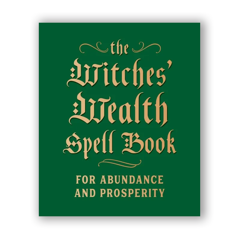 The Witches' Wealth Spell Book