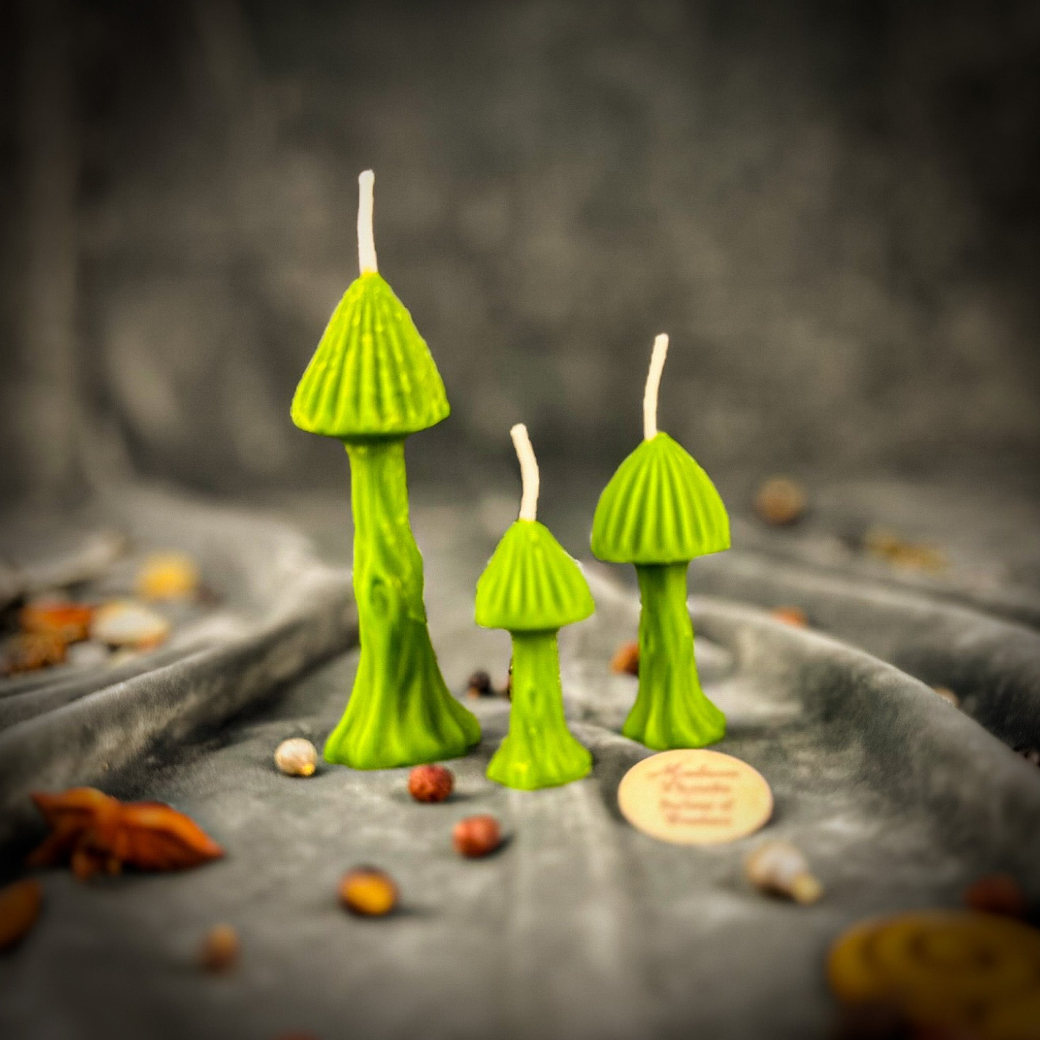 Enchanted Mushroom Candle Spell Kit - Forest Wisdom & Transformation Magic