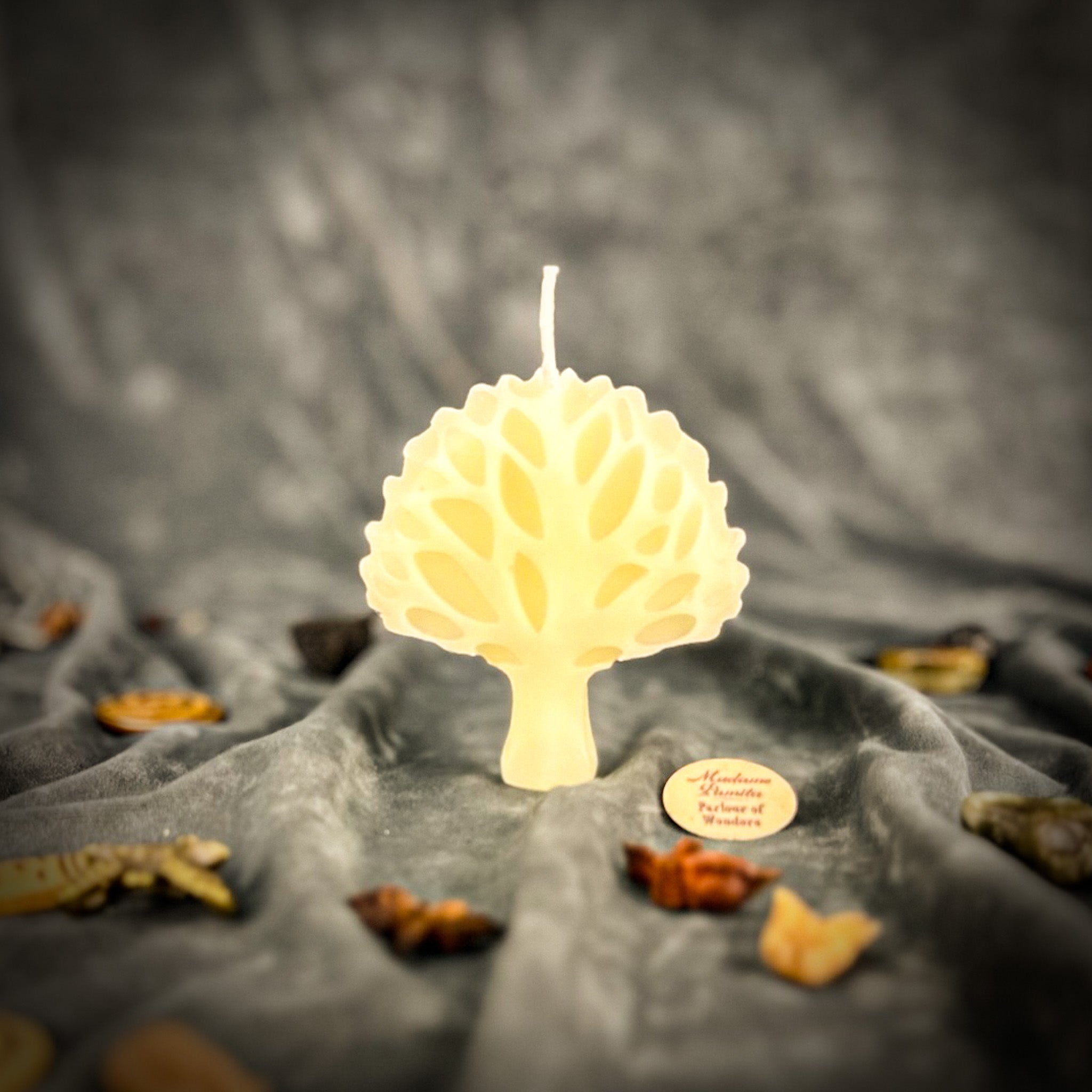 Cosmic Tree Candle Spell Kit - Shamanic Journey & Spiritual Connection Magic