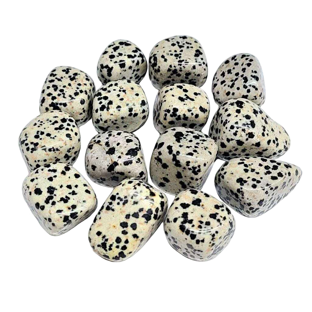Dalmatian Jasper Tumbled Stone