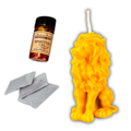 Proud Lion Candle Spell Kit - Courage & Leadership Magic