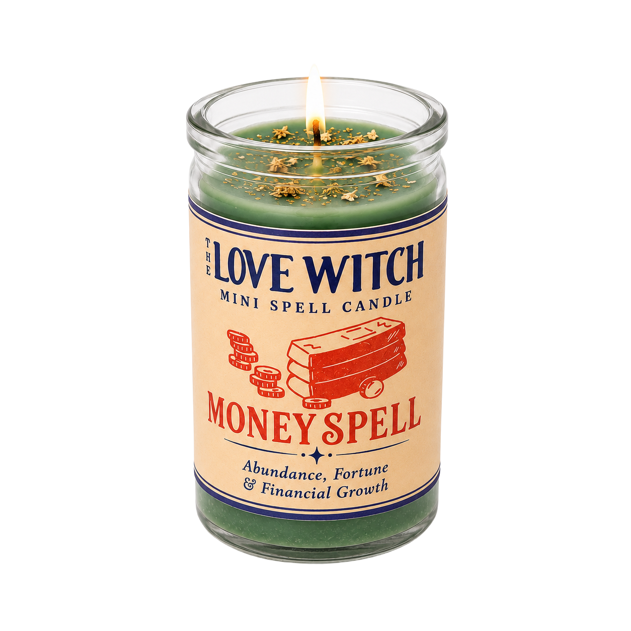 Mini Money Spell Service | Burned by The Love Witch