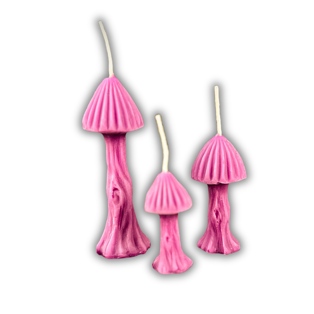 Beeswax Enchanted Mushroom Spell Candle Trio