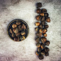 Acorn - Wildcrafted