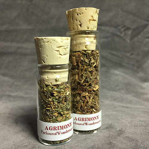 Sticklewort - Organic