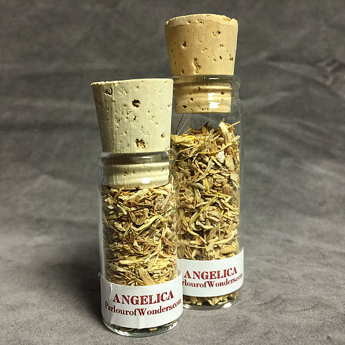 Masterwort- Cut/Organic