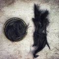 Black Dog Hair