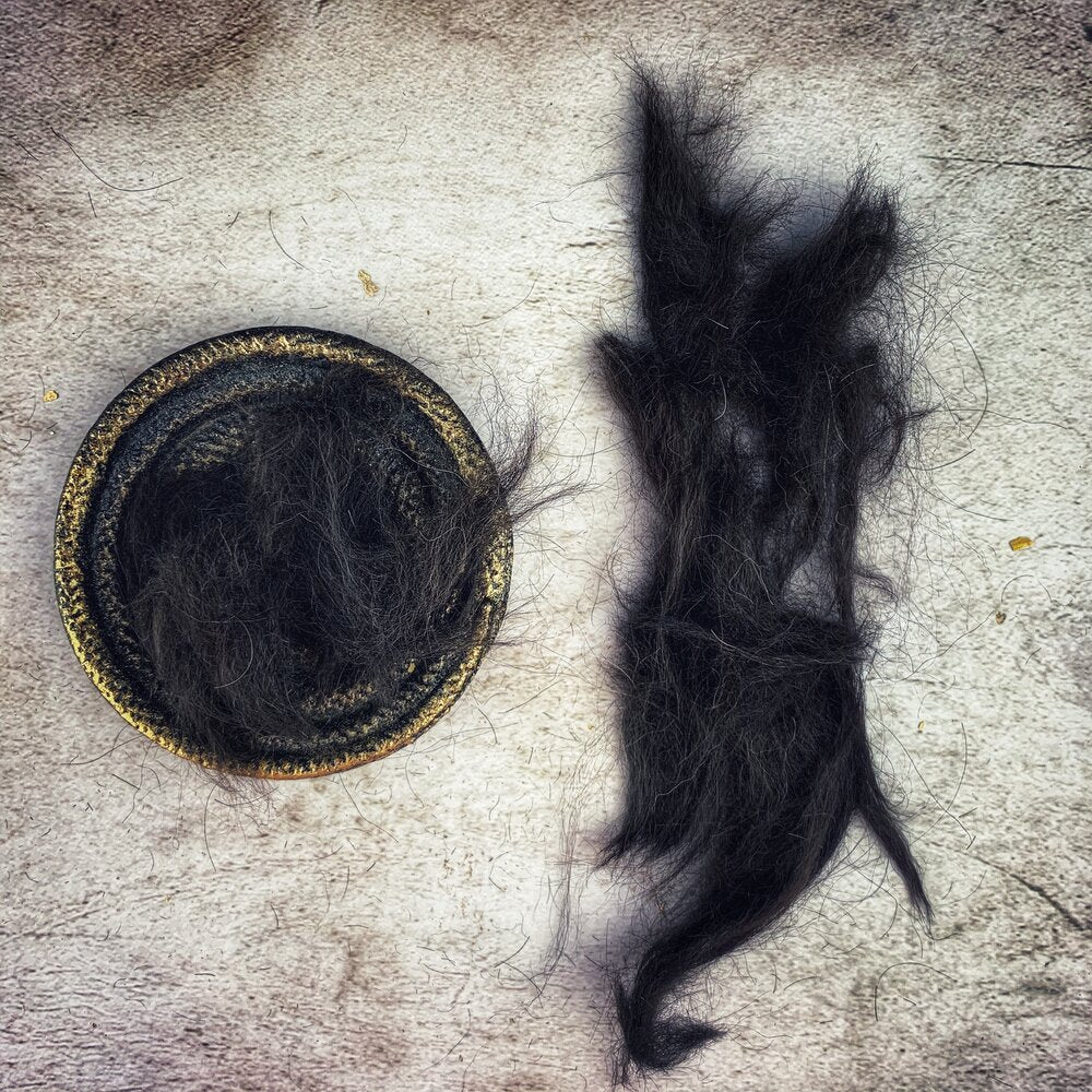 Black Dog Hair
