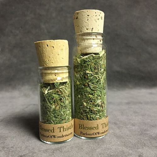 Blessed Thistle - Organic