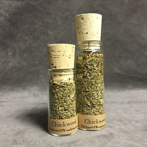 Winterweed - Organic