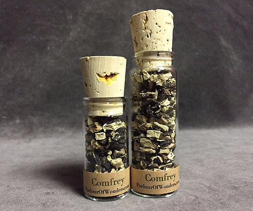 Slippery Root - Organic