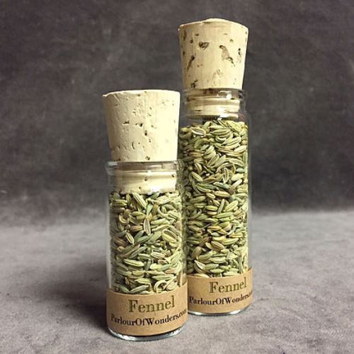 Fennel - Organic