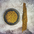 Fenugreek - Organic