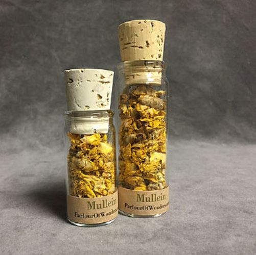 Corpse Candles - Organic