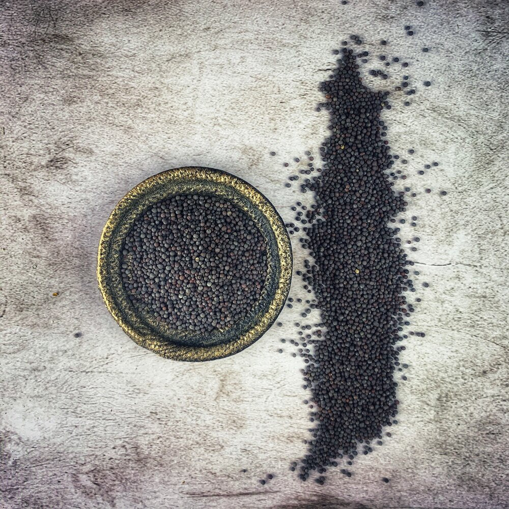 Eye of Newt (Black) - Organic
